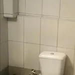 Leonidas *