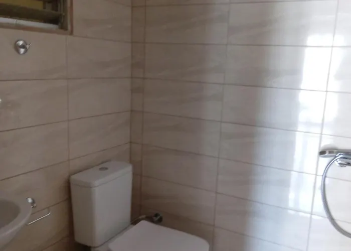 公寓 莱昂尼达斯公寓 *