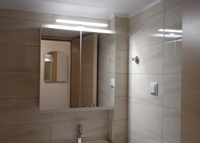 公寓 莱昂尼达斯公寓 *