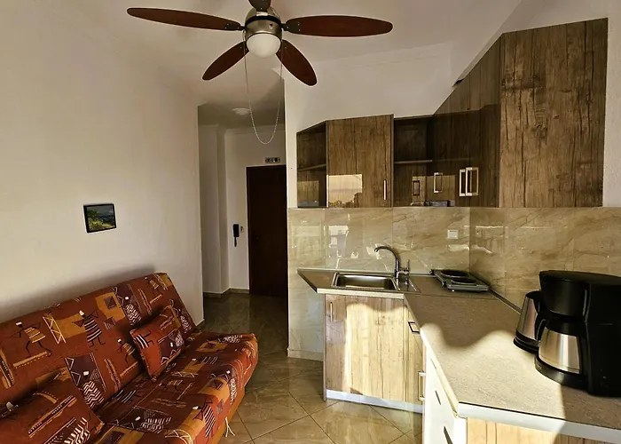 公寓 莱昂尼达斯公寓 *